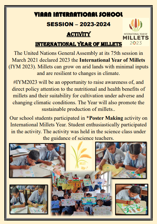 Viaan International School 3