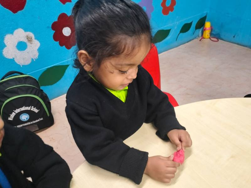 Wisdom International School 8