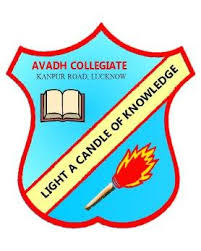 Avadh Collegiate school campus photo