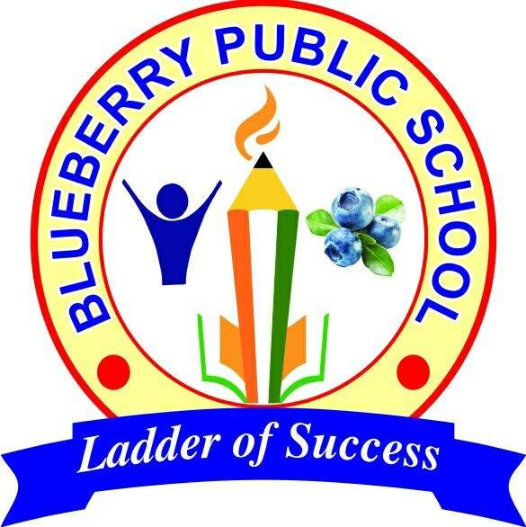 Blue Berry Public School school campus photo