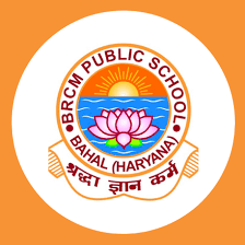 BRCM Public School school campus photo