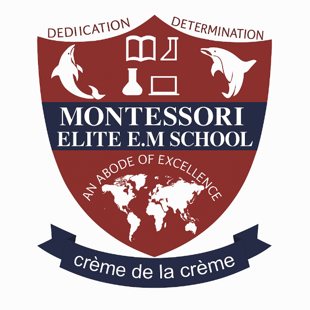 Montessori Elite EM School school campus photo