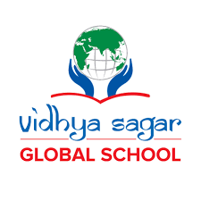 Vidhya Sagar Global School school campus photo