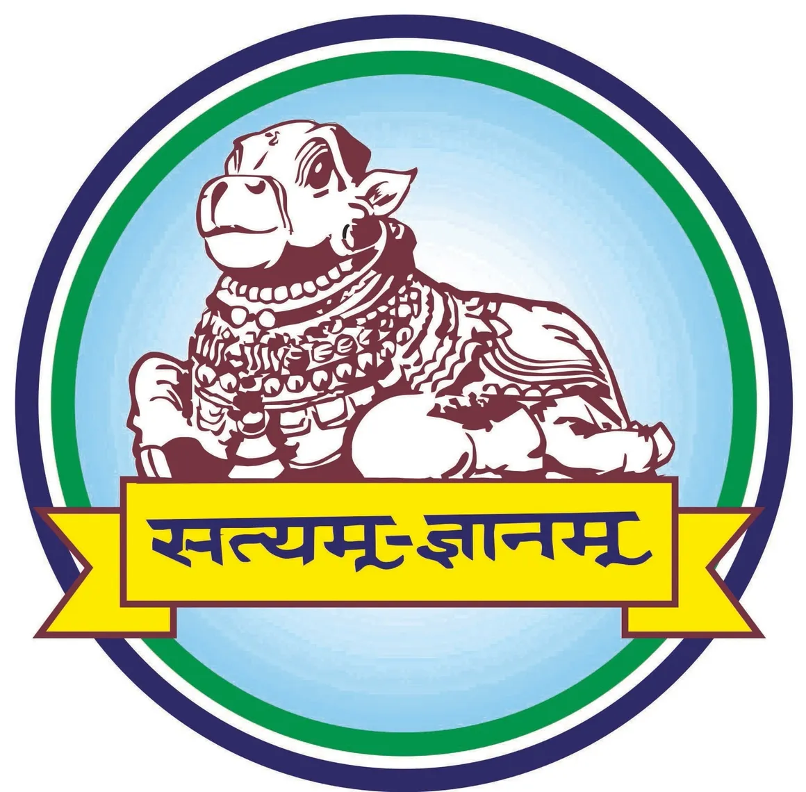 Nandini High School