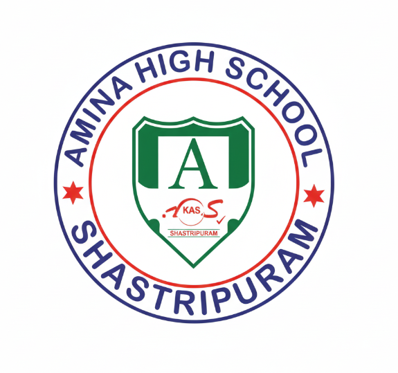 Amina High School logo