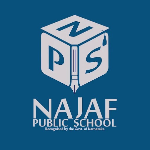 Najaf Public School logo