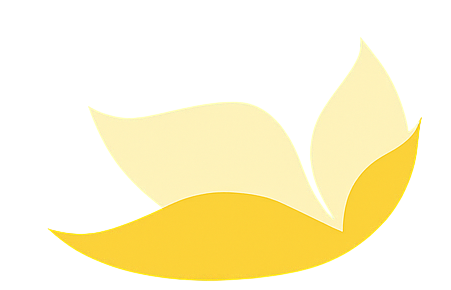 TLC Montessori Preschool