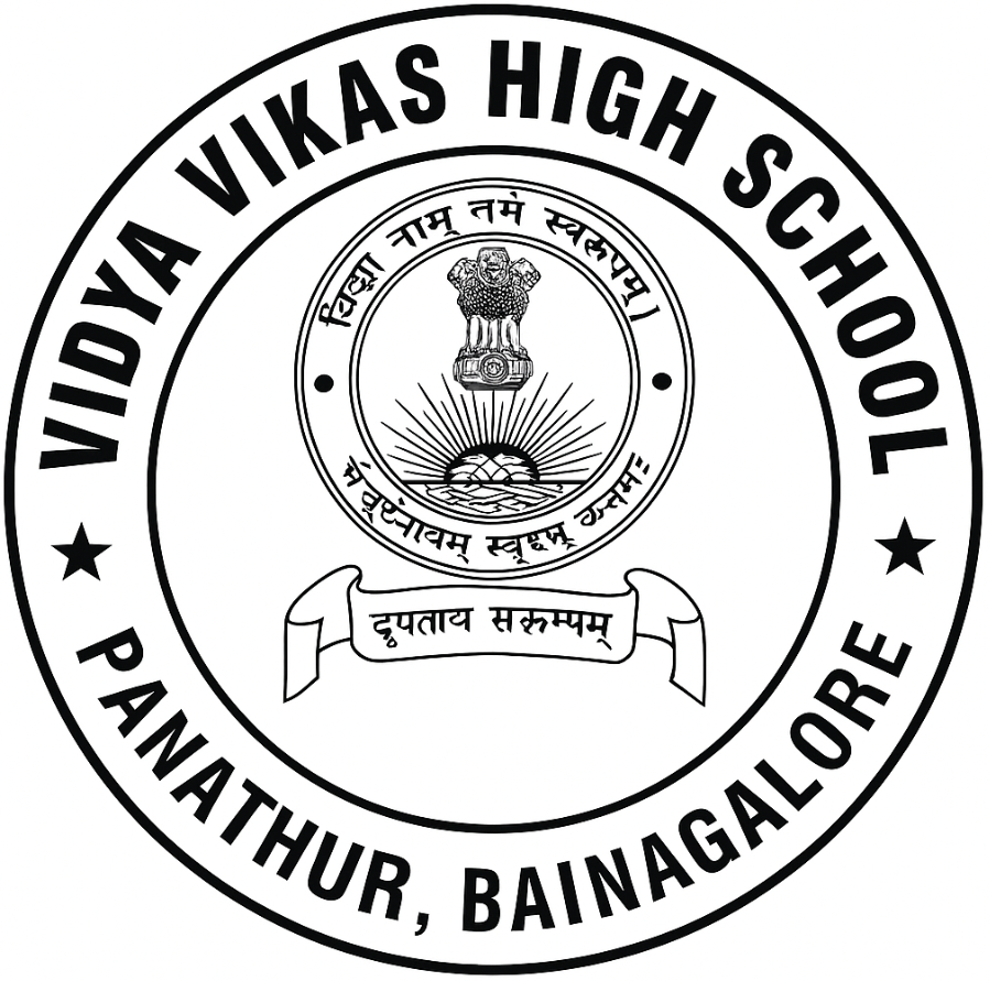 Vidya Vikas High School