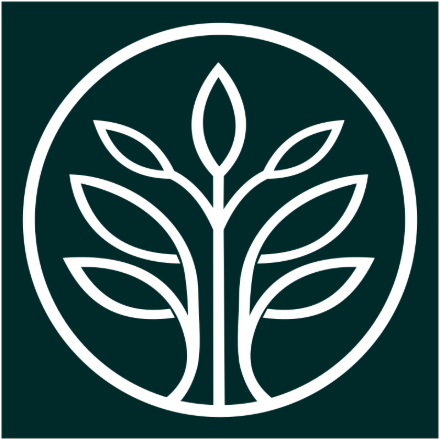 Vidya Siri International School logo