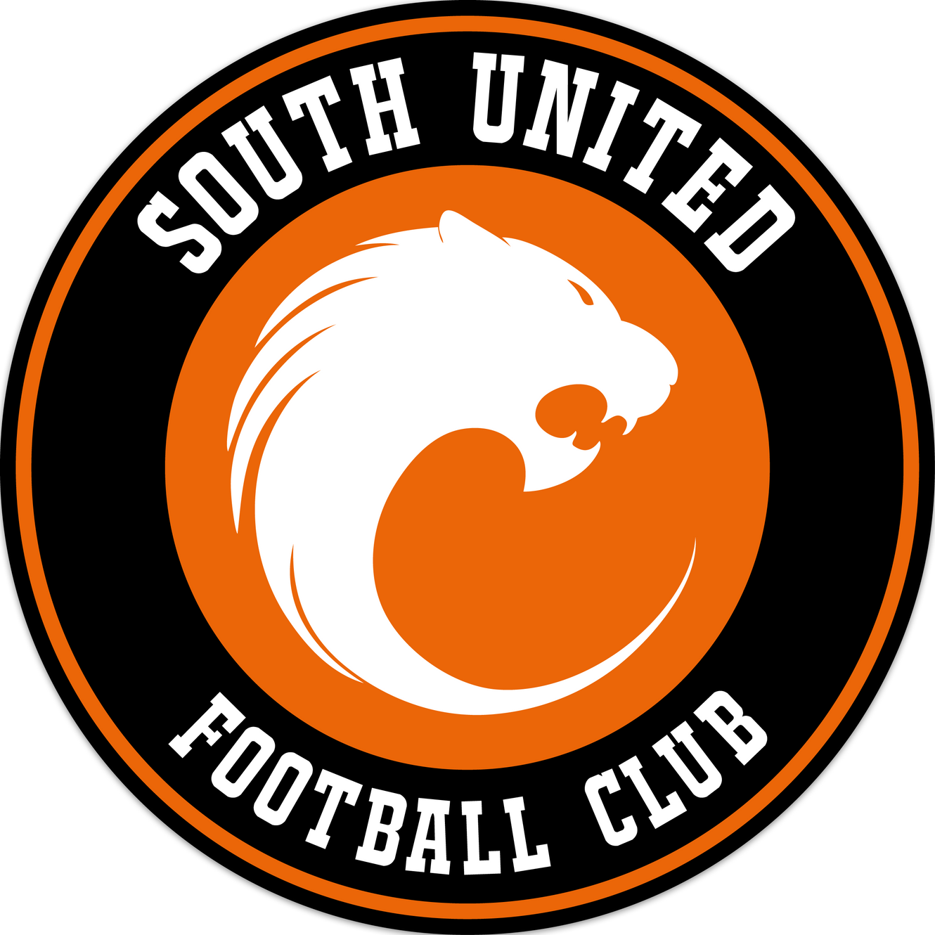 South United Football Club logo