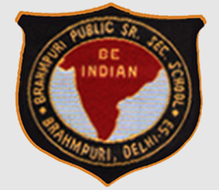 Brahampuri Public Senior Secondary School