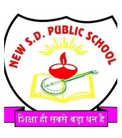 New S.D. Public School