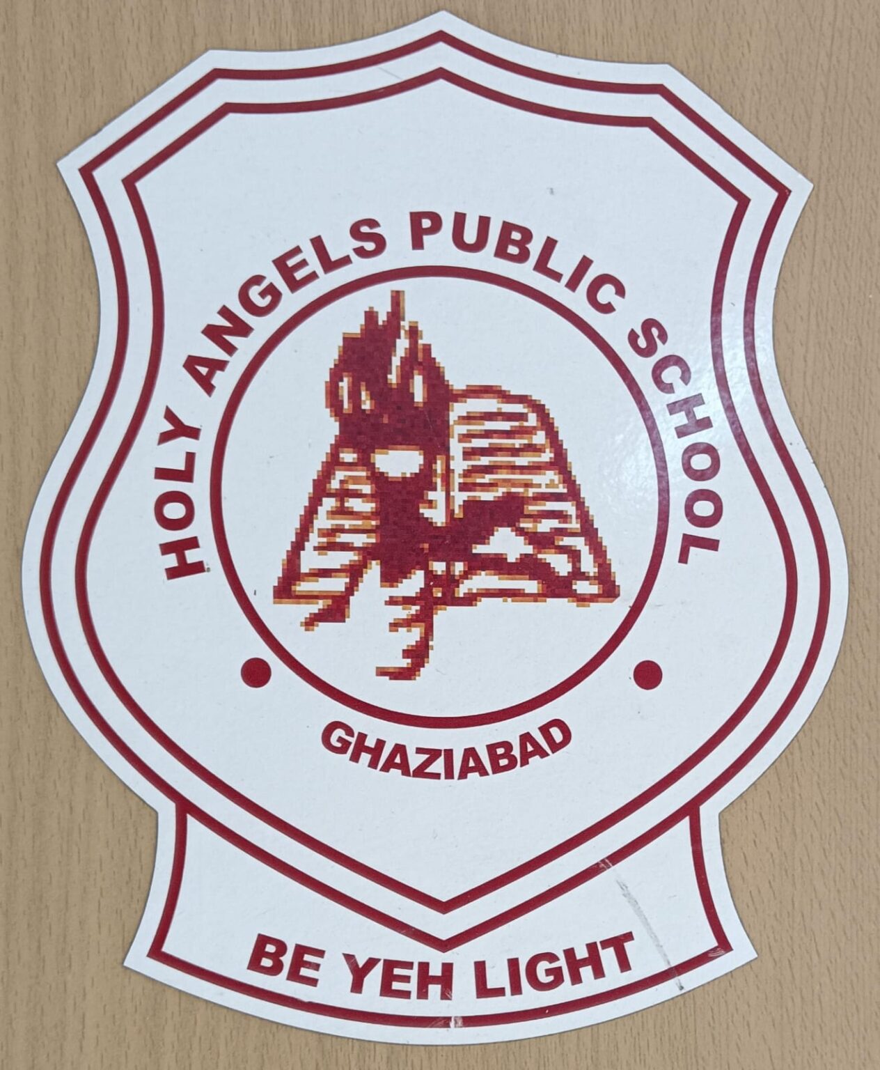Holy Angel's Public School