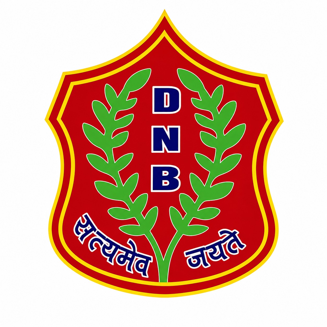 DNB Public School logo