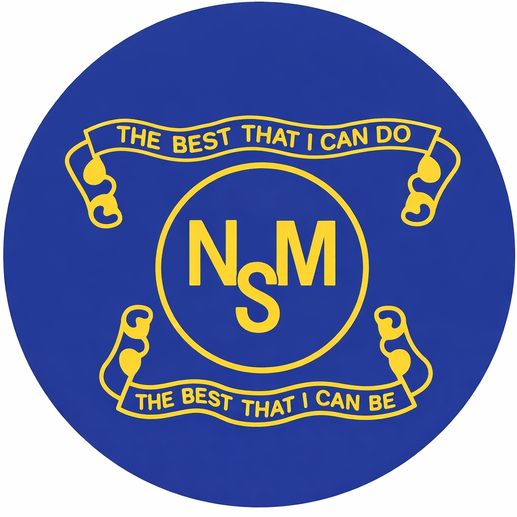 New Millennium School logo