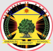 Emerald Convent School school campus photo