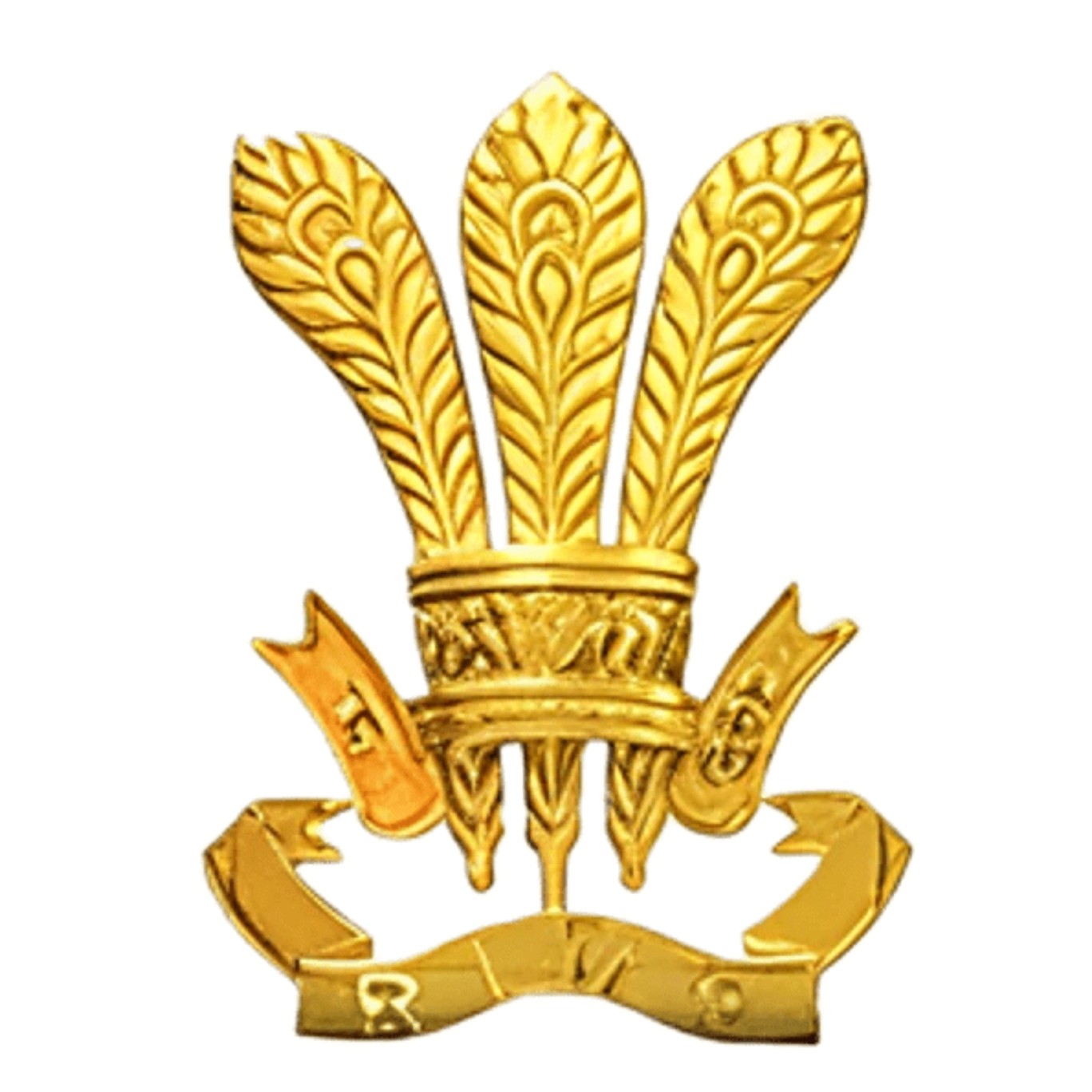Rashtriya Indian Military College logo