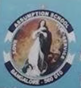 Assumption English School logo