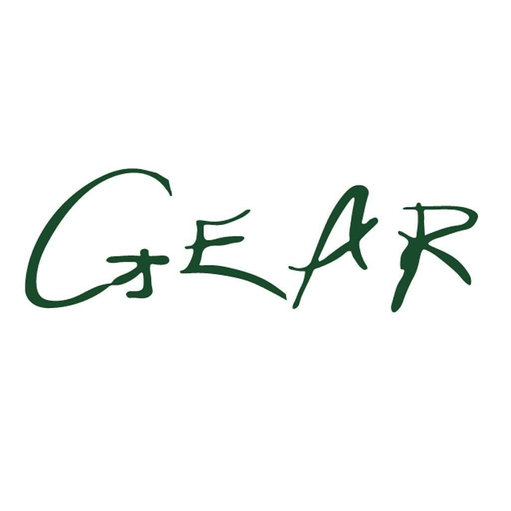 GEAR Innovative Intl School logo