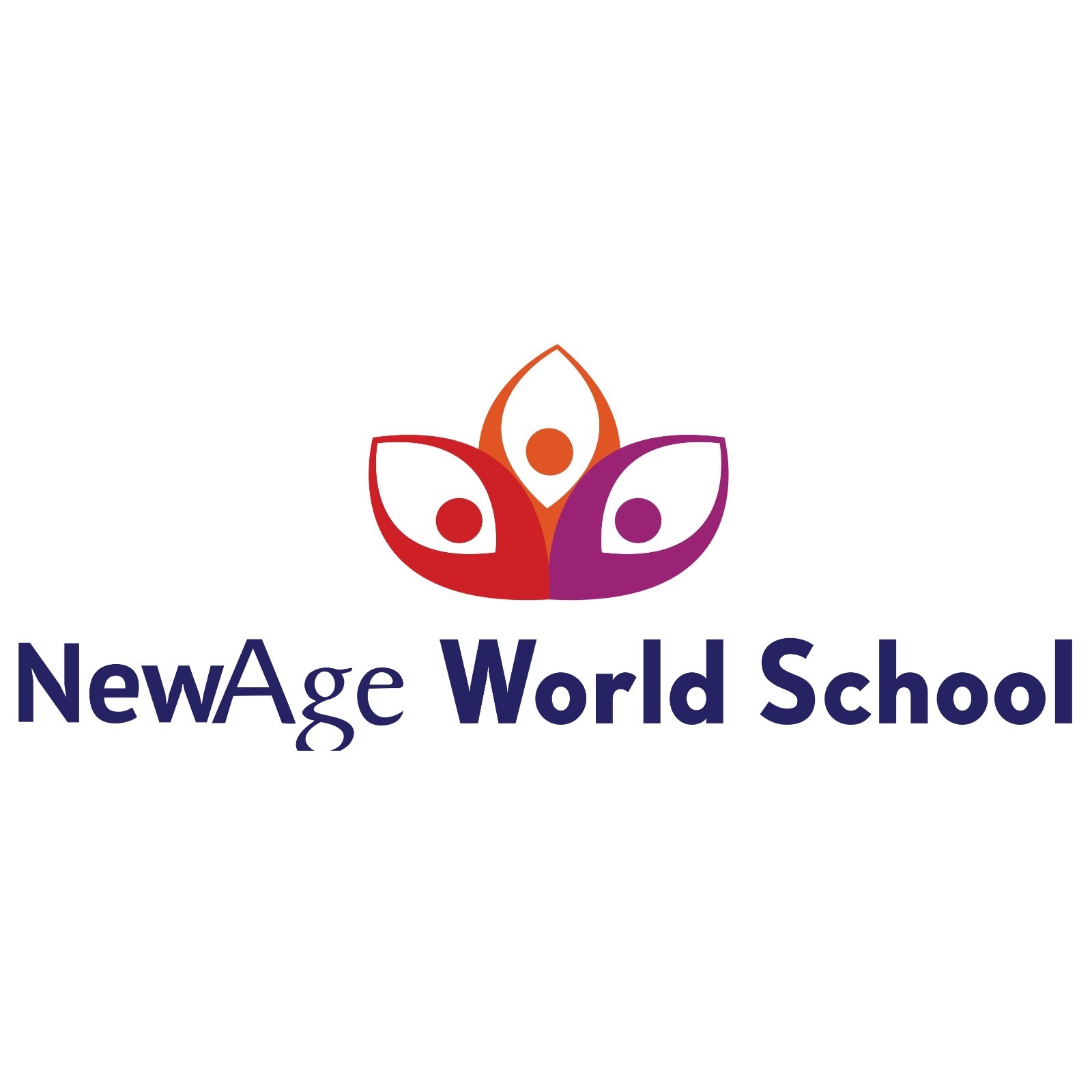 New Age World School logo
