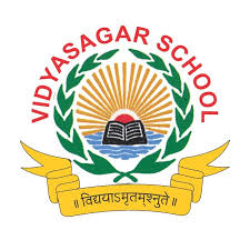 Vidya Sagar School