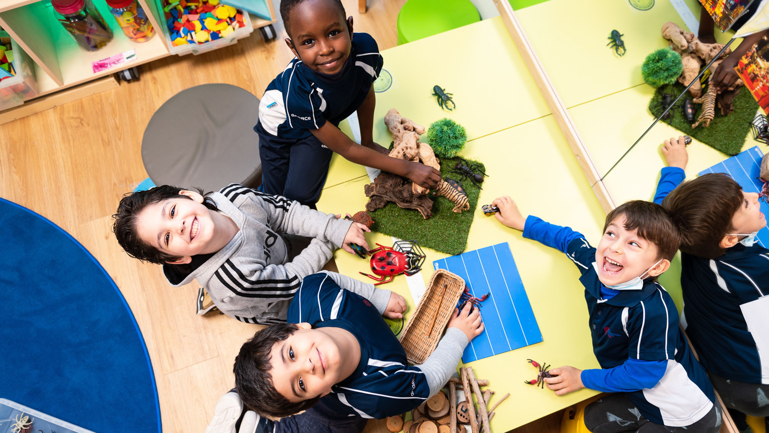 understandings the IB curriculum